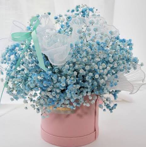 Boxed Baby's Breath