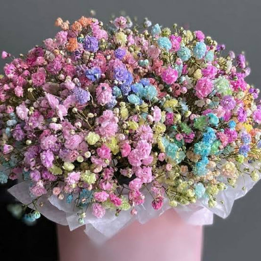 Boxed Baby's Breath