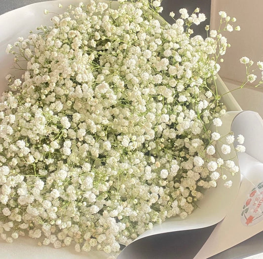 Baby's Breath Bouquets