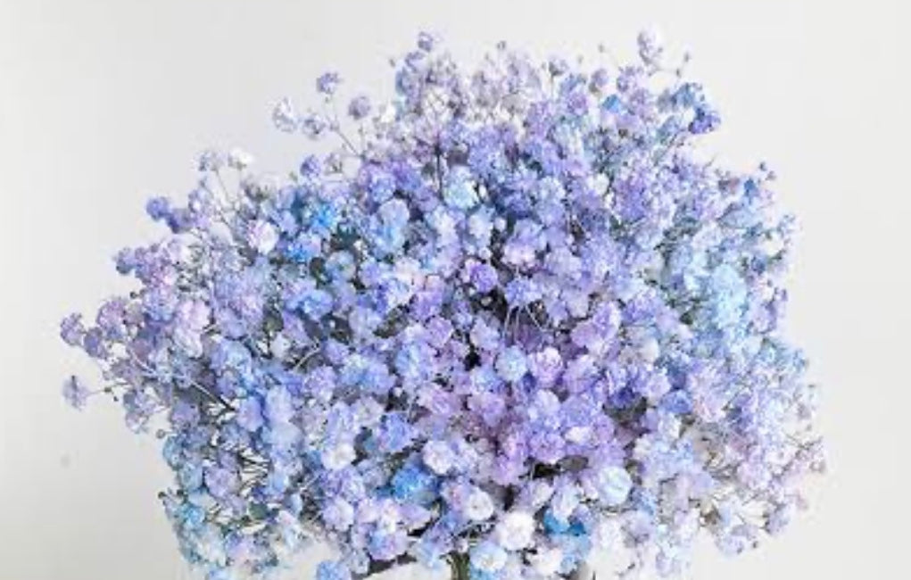 Baby's Breath Bouquets